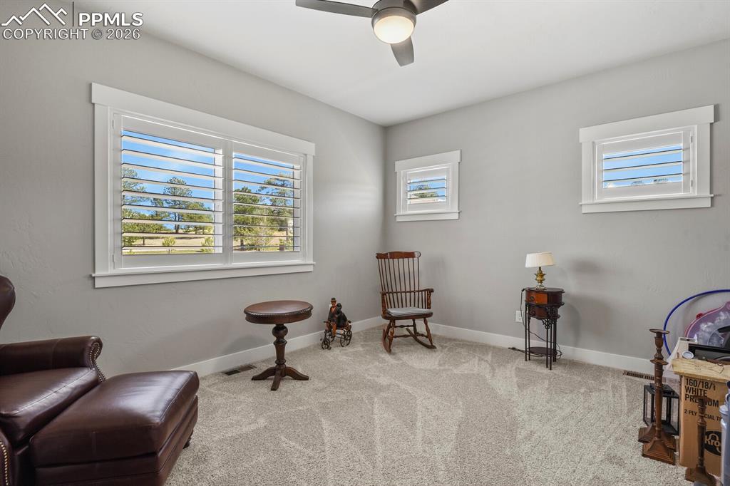 Image 21 of 48: Main Floor Bedroom