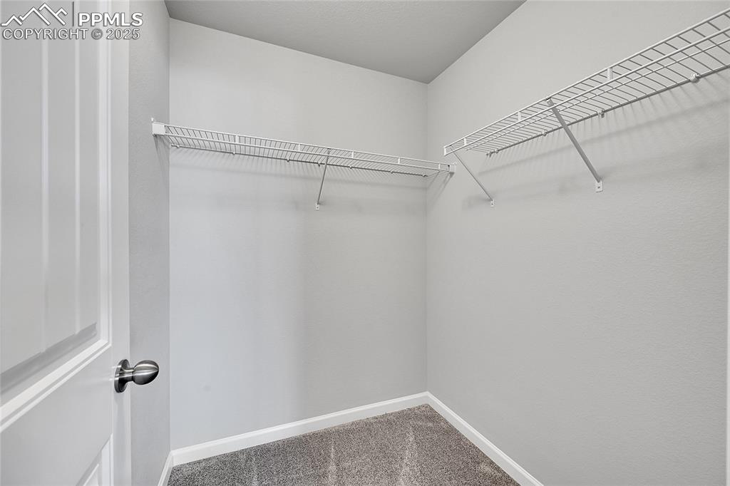 Image 27 of 46: Walk in closet featuring carpet flooring