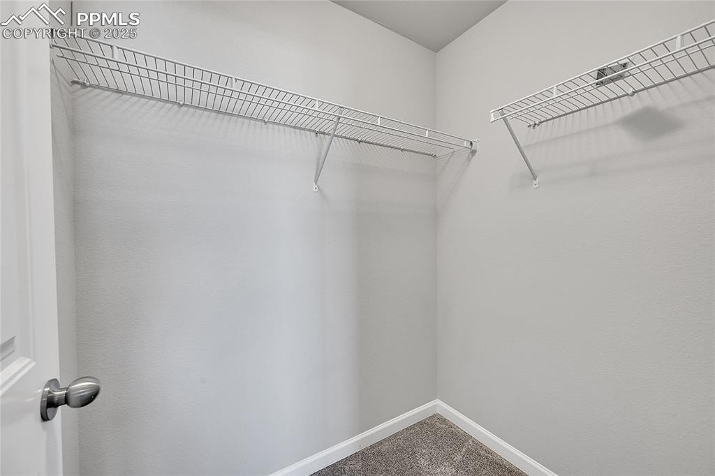Image 31 of 46: Spacious closet featuring carpet floors