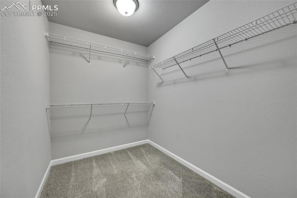 Image 35 of 46: Walk in closet with light carpet