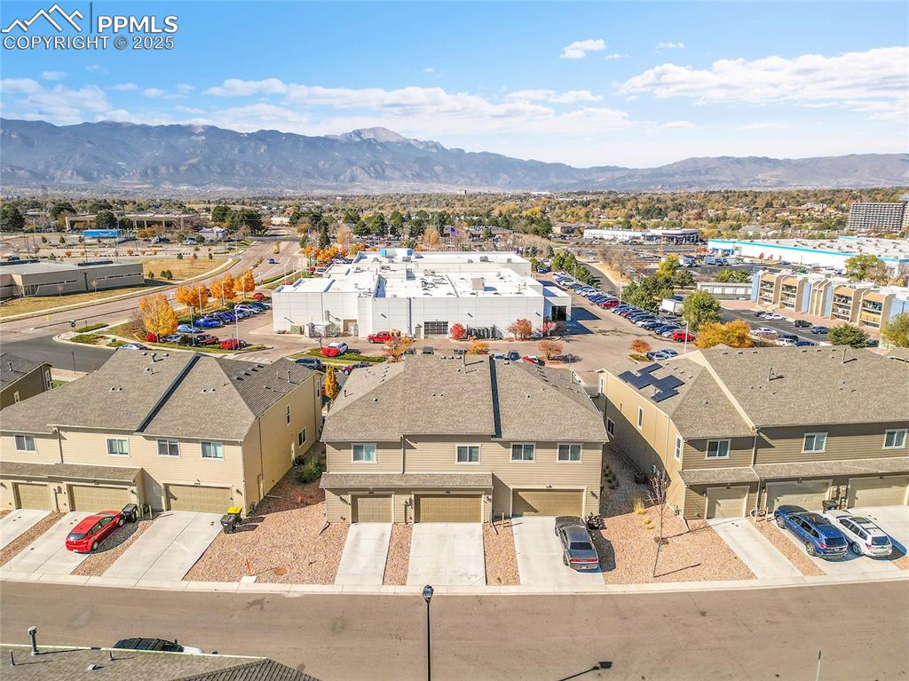 Image 43 of 46: Bird