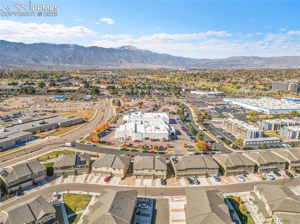 Image 46 of 46: Bird