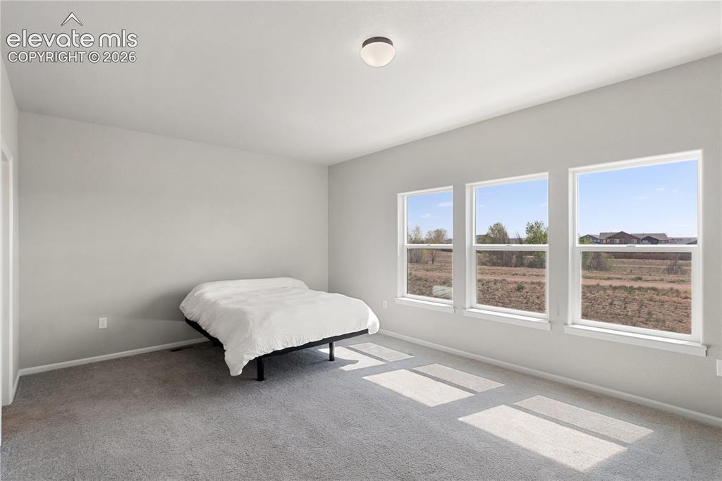 Image 15 of 19: Room featuring three large windows, light gray walls, and gray carpet floor