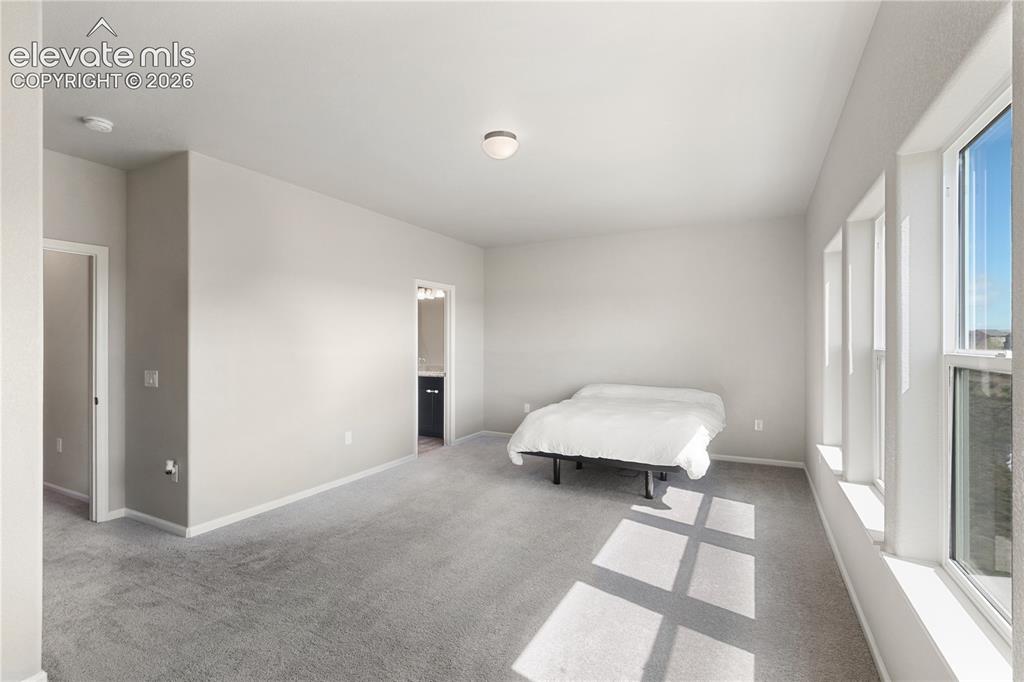 Image 16 of 19: Spacious bedroom featuring light gray carpeting, multiple large windows, an