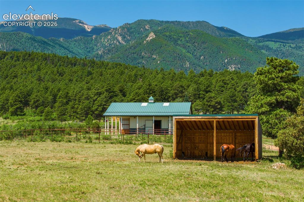Image 39 of 50: View of stable, turnout, and pasture photographed June 2026