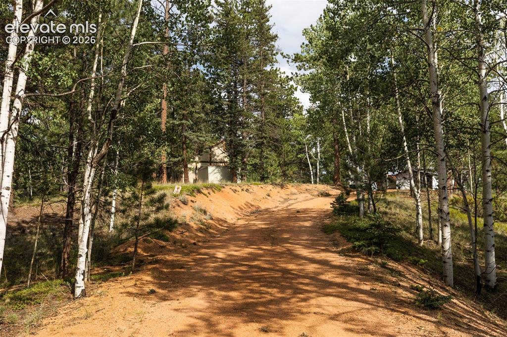 Image 9 of 14: Community