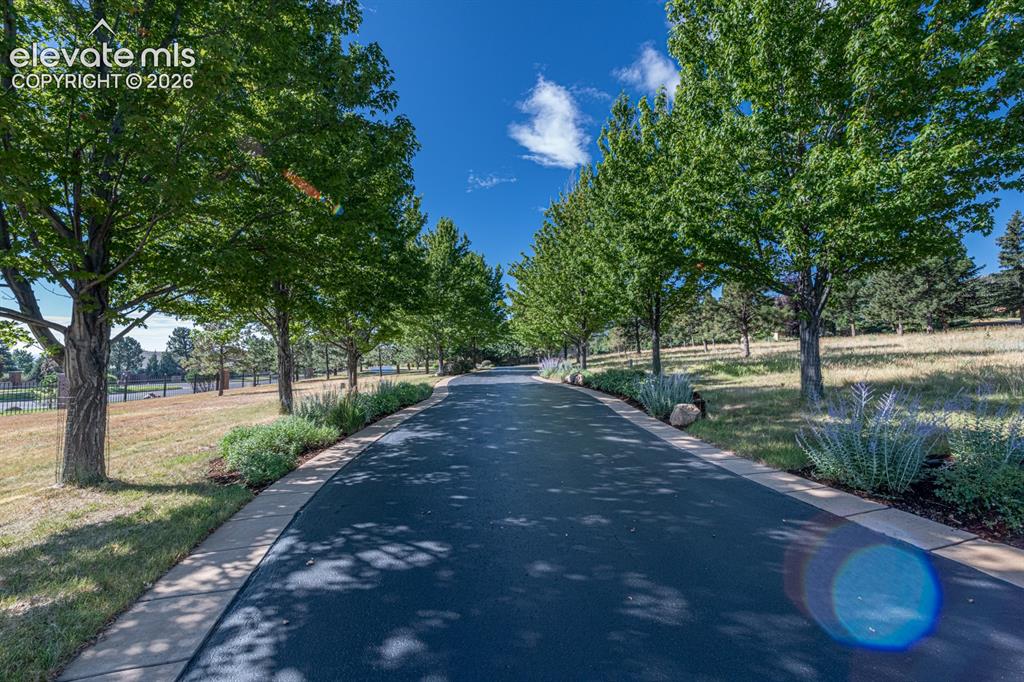Image 3 of 50: The majestic driveway lets you know you have arrived someplace special