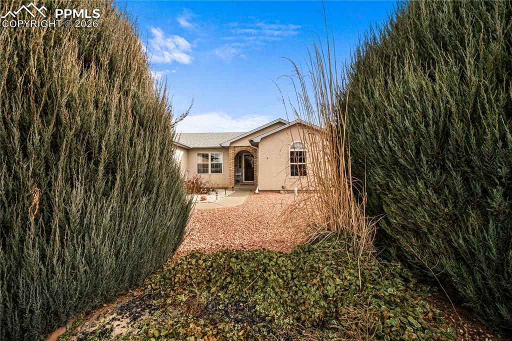 Image 40 of 42: Back of Structure