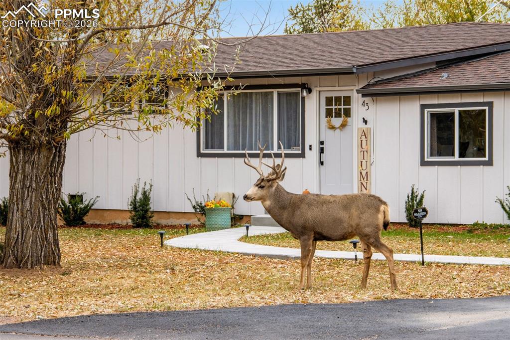 Image 4 of 45: Front of Structure
