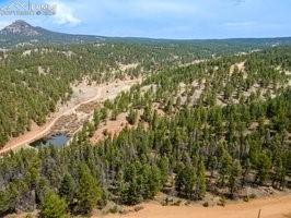 Image 5 of 12: Aerial view of a forest and a mountain backdrop