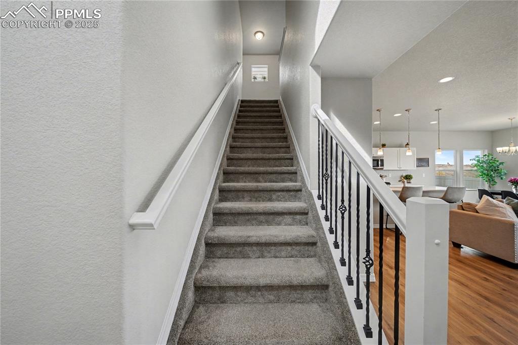 Image 16 of 38: Other