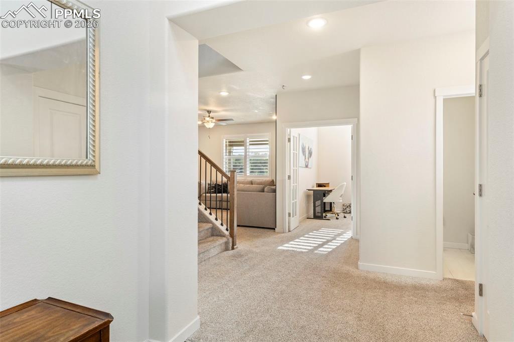 Image 4 of 36: Other