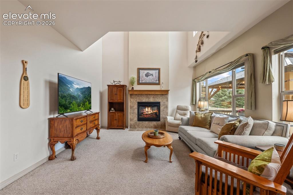 Image 12 of 50: Living area featuring a stone-surround fireplace with wood mantel, large wi