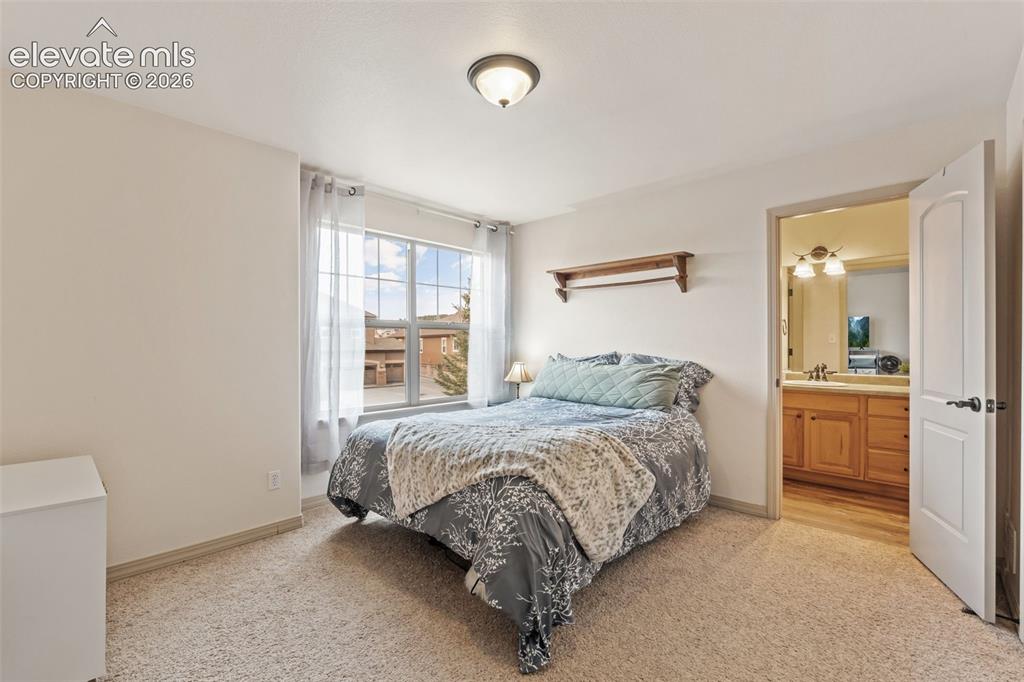 Image 34 of 50: Carpeted room with a large window, a built-in wall shelf, and a ceiling-mou