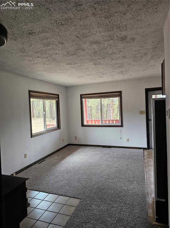 Image 5 of 13: Unfurnished living room featuring carpet flooring, tile patterned floors, p