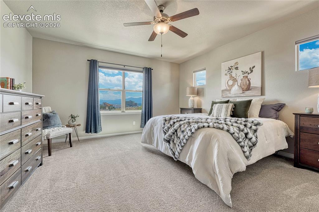 Image 20 of 50: Unwind in the luxurious main-level primary suite, which features plush carp