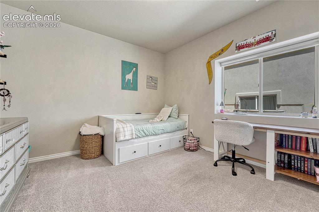 Image 35 of 50: One of two spacious basement guest bedrooms, featuring cozy neutral carpeti