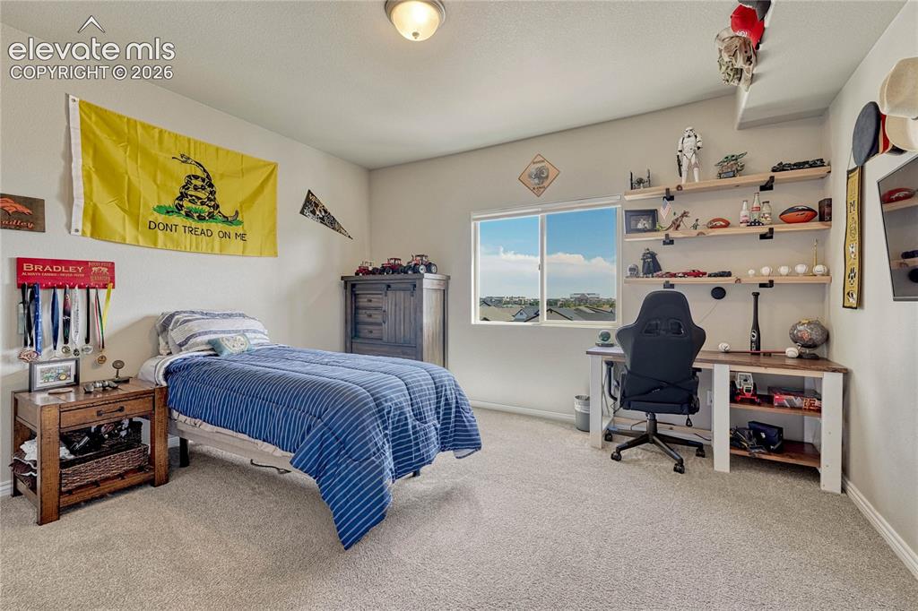 Image 38 of 50: Another spacious basement bedroom features a large window with beautiful na