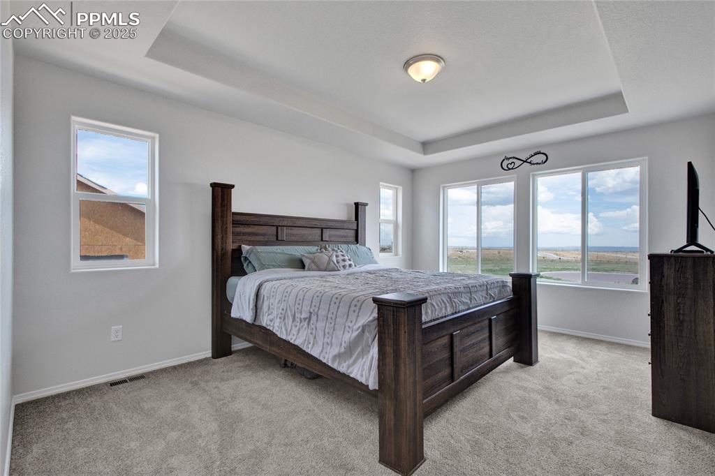 Image 21 of 41: Bedroom with a tray ceiling and light colored carpet