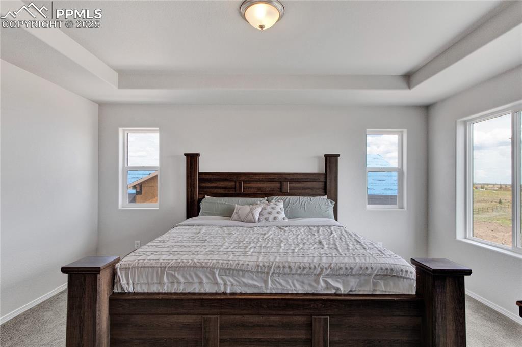 Image 23 of 41: Bedroom with carpet floors and a tray ceiling