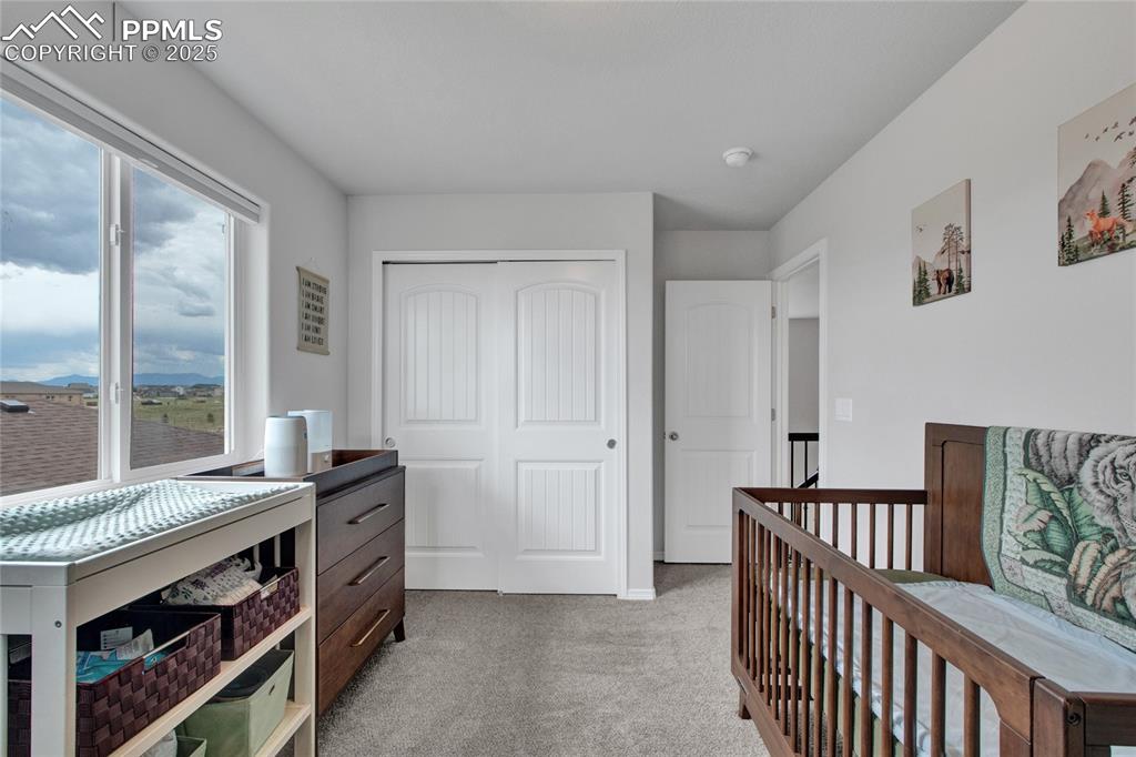 Image 31 of 41: Bedroom featuring a closet and light colored carpet