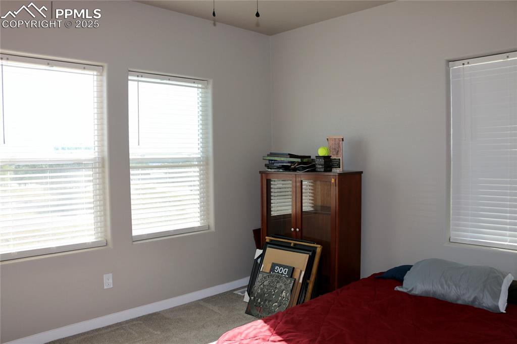 Image 13 of 28: Bedroom with carpet and baseboards