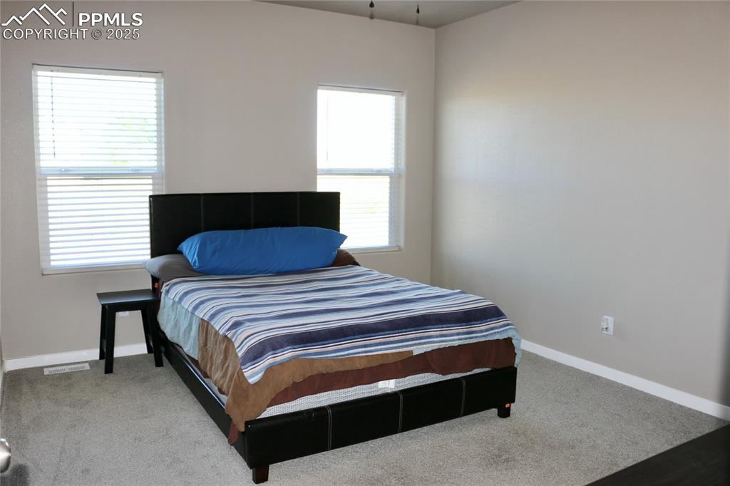 Image 6 of 28: Bedroom featuring multiple windows and light carpet