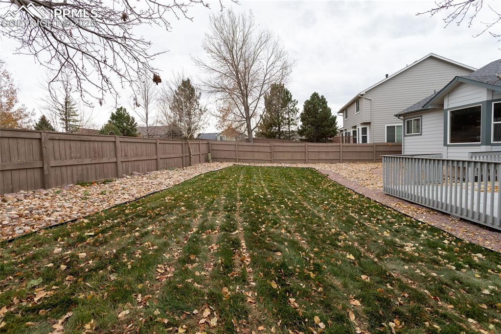 Image 32 of 38: New sod