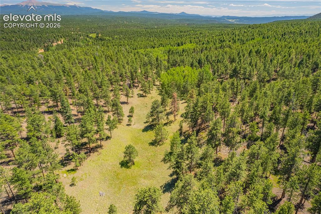Image 13 of 47: Aerial View