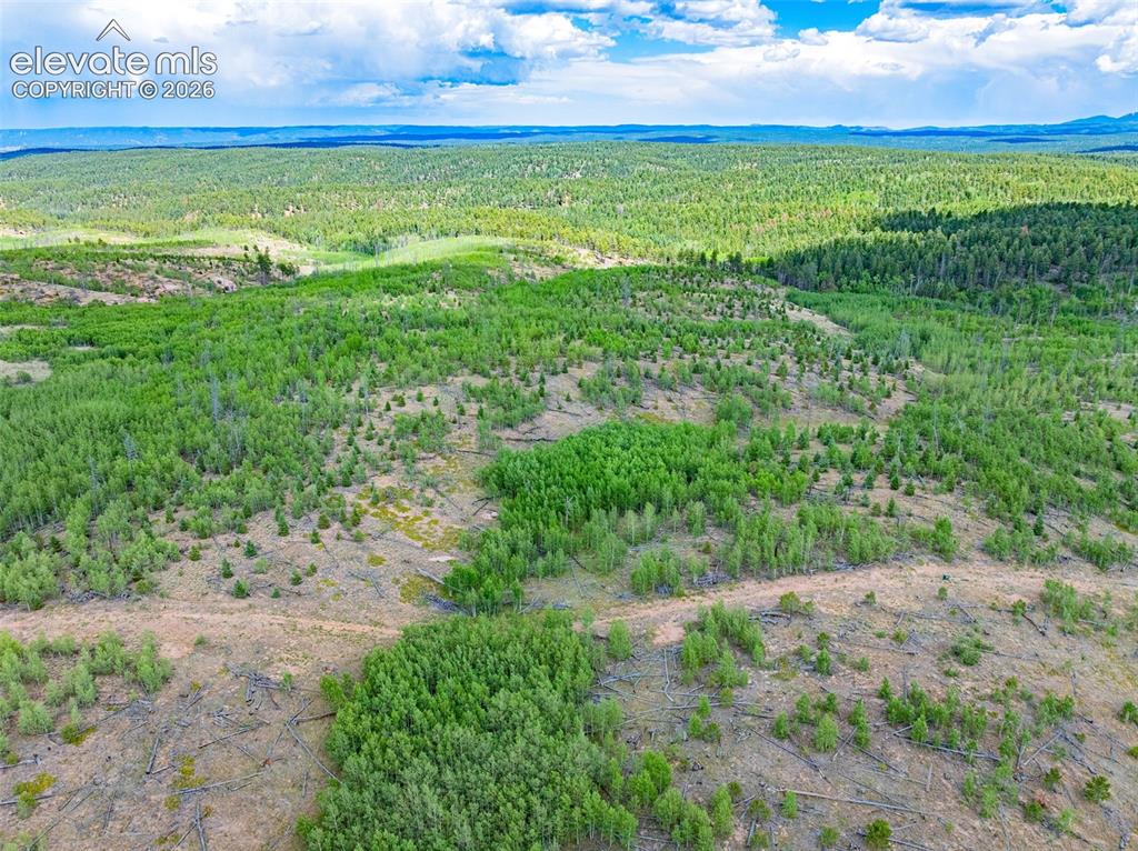 Image 14 of 47: Aerial View