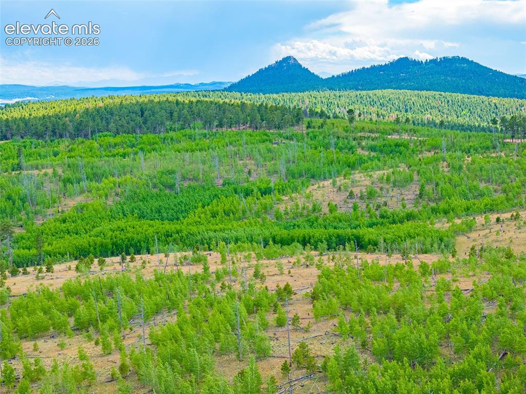 Image 16 of 47: View
