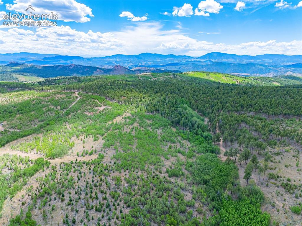 Image 18 of 47: Aerial View