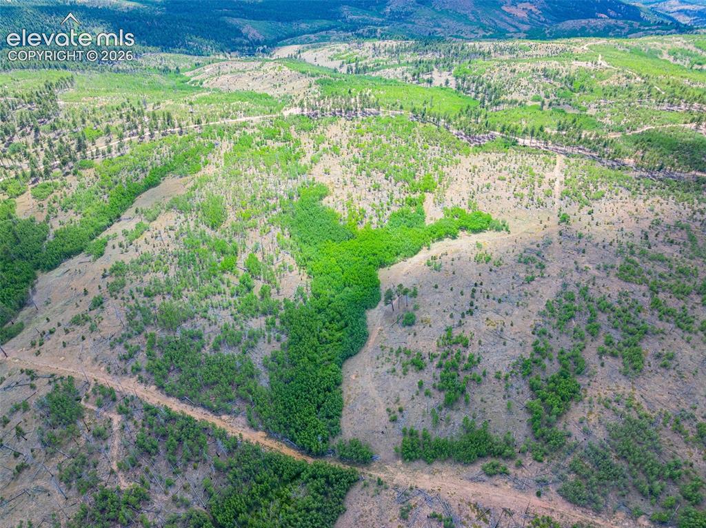 Image 21 of 47: Aerial View