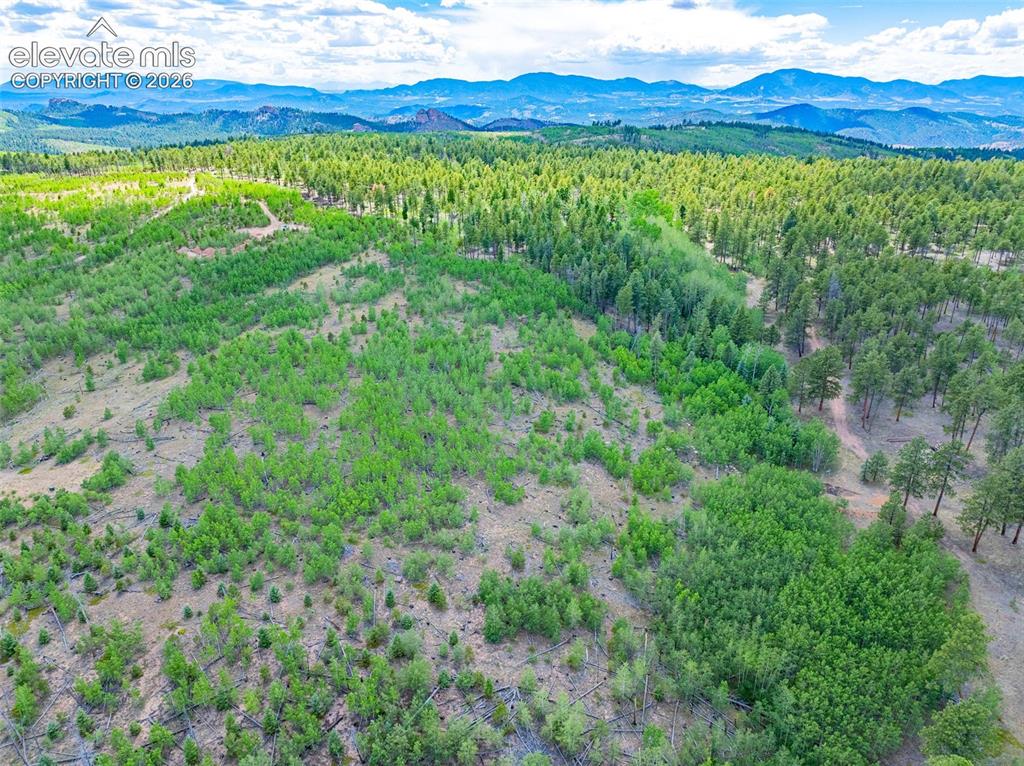 Image 34 of 47: Aerial View