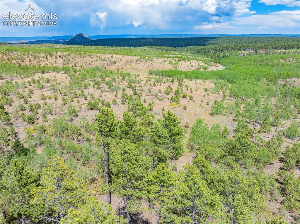 Image 35 of 47: Aerial View