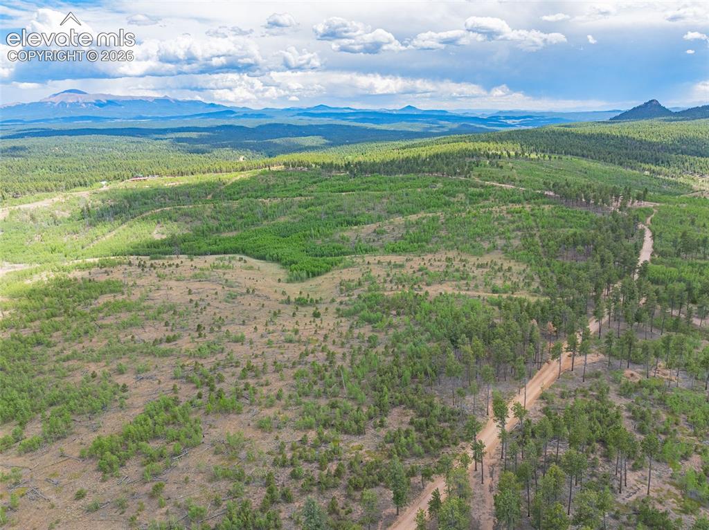 Image 36 of 47: Aerial View