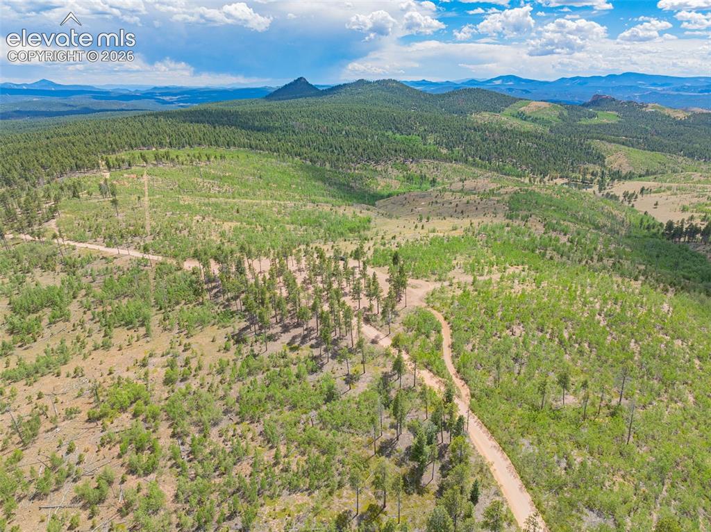 Image 42 of 47: Aerial View