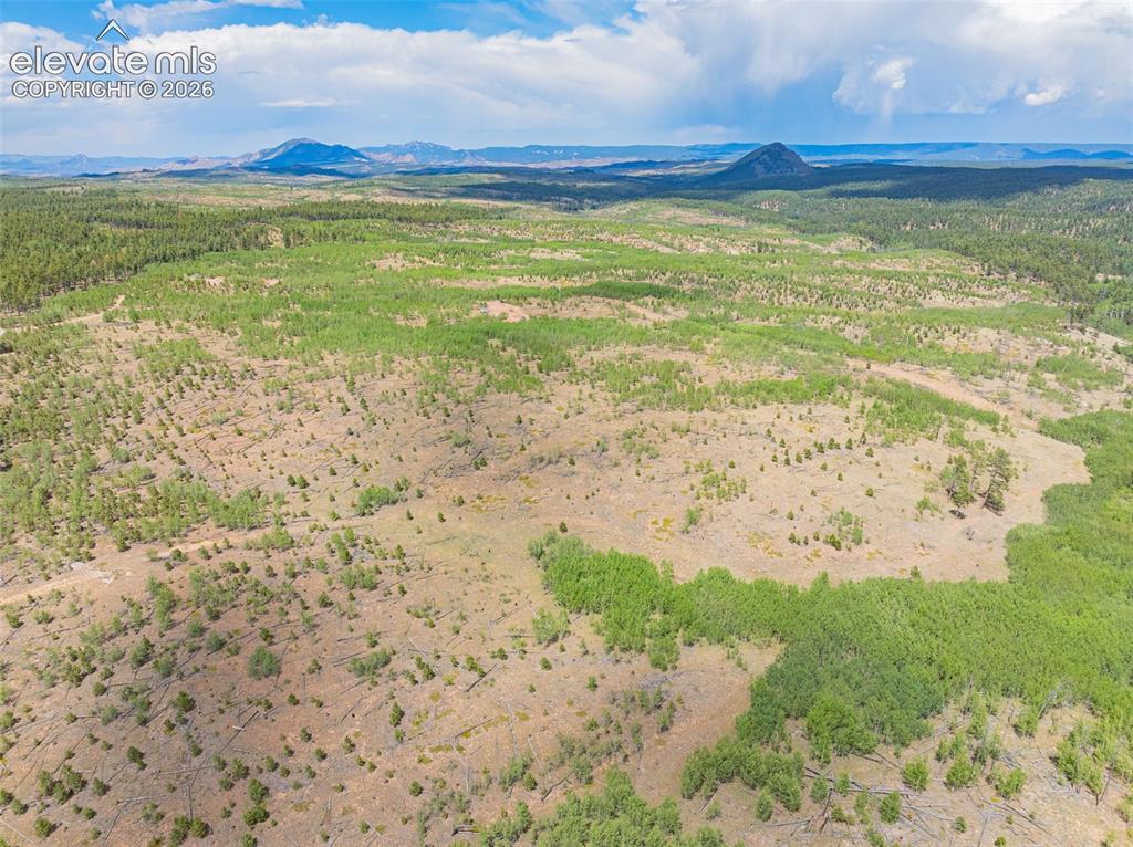 Image 43 of 47: Aerial View
