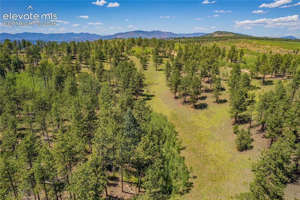 Image 45 of 47: Aerial View