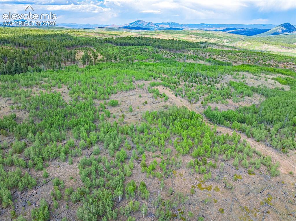 Image 5 of 47: Aerial View