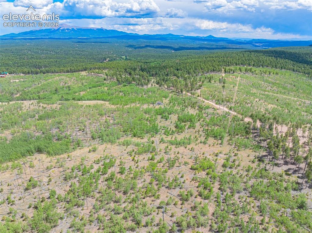 Image 6 of 47: Aerial View