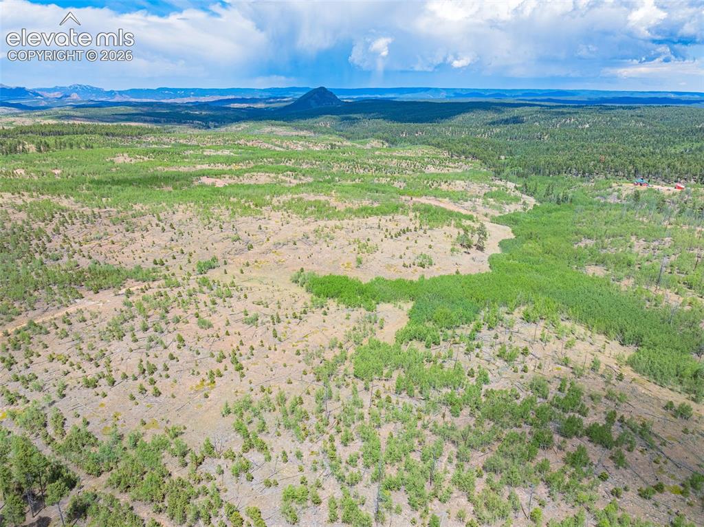 Image 8 of 47: Aerial View