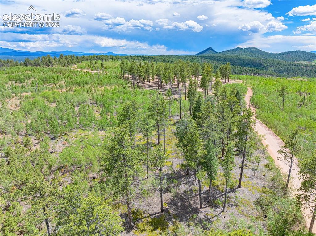 Image 9 of 47: Aerial View