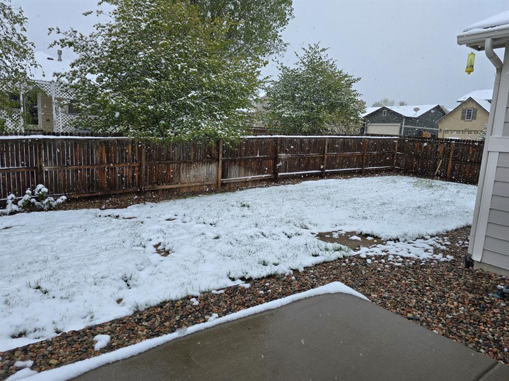 Image 9 of 9: Yard