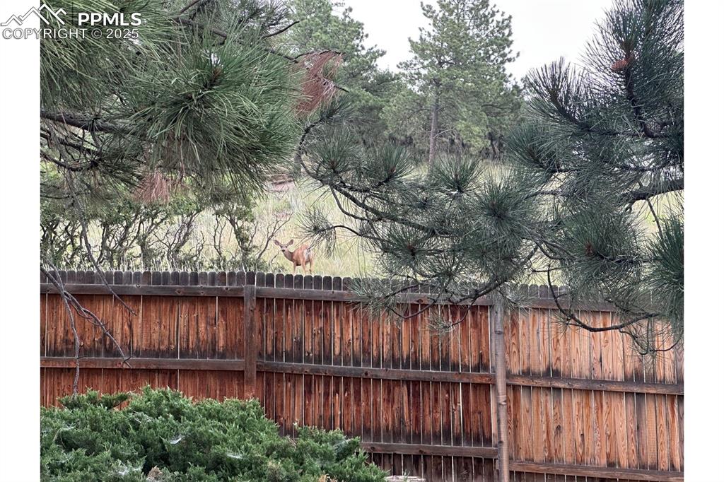 Image 32 of 34: Wildlife