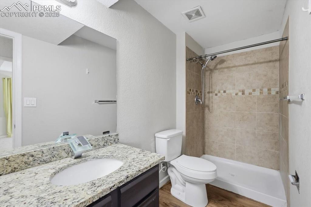 Image 44 of 47: Lower level bathroom.