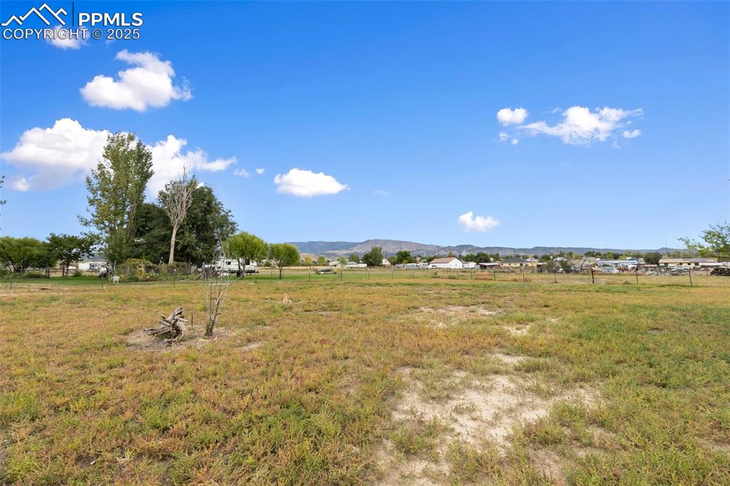 Image 37 of 37: Yard