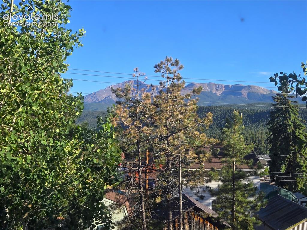 Image 15 of 24: Upper