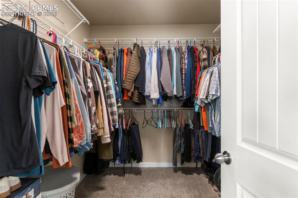 Image 13 of 32: Walk in closet with light carpet