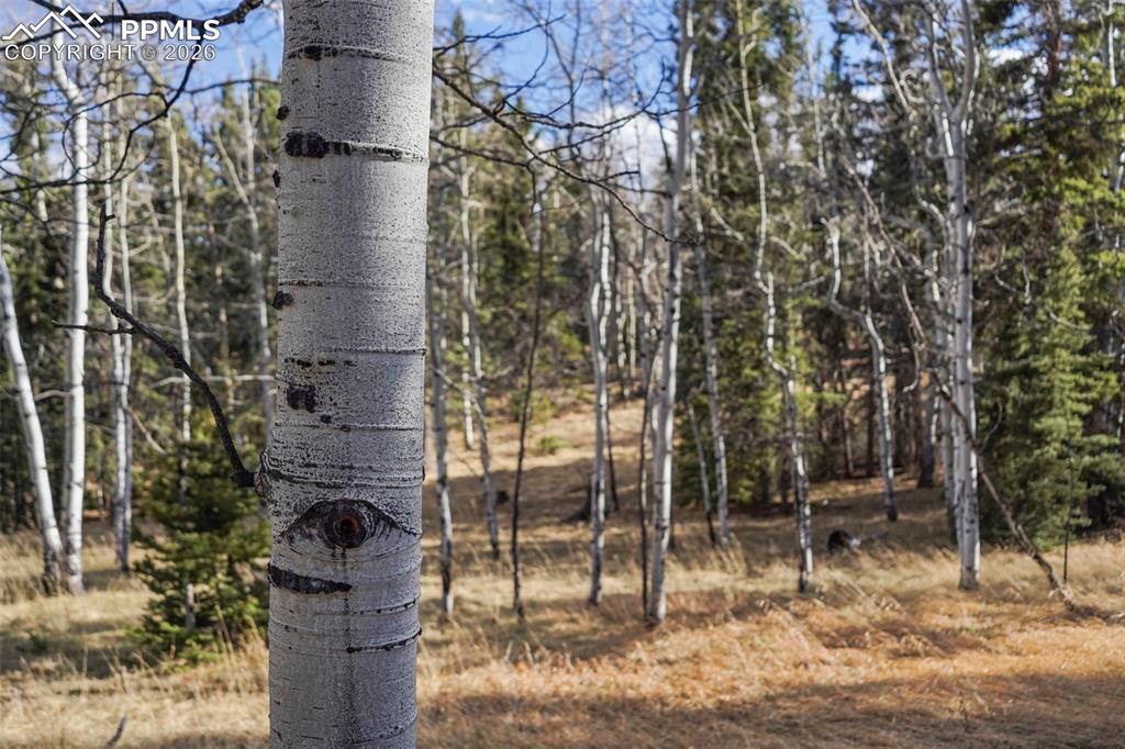 Image 30 of 34: Other